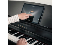 Kawai CN-301 R Kawai CN-301 R